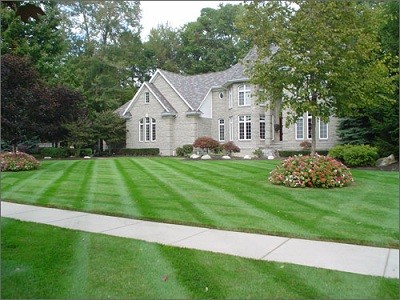 MD Lawn Care and Property Services, LLC