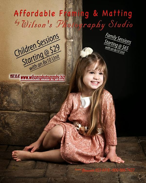 Affordable Framing & Matting By Wilson's Photography Studio 26 E Washington St #1545, Greencastle Indiana 46135