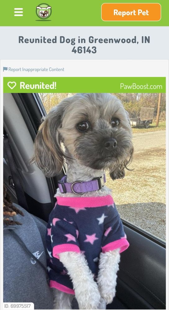 Bath & Beyond Pet Salon Greenwood