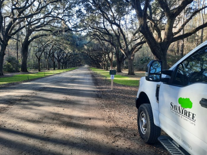 SavATree - Tree Service & Lawn Care