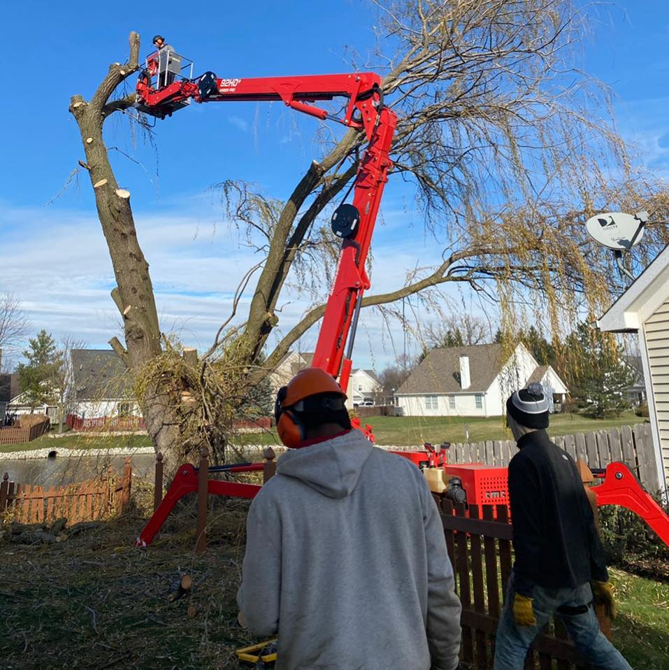 Blue Ox Tree Care of Indiana