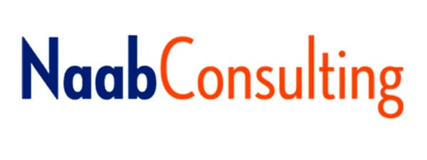 Naab Consulting, Inc.