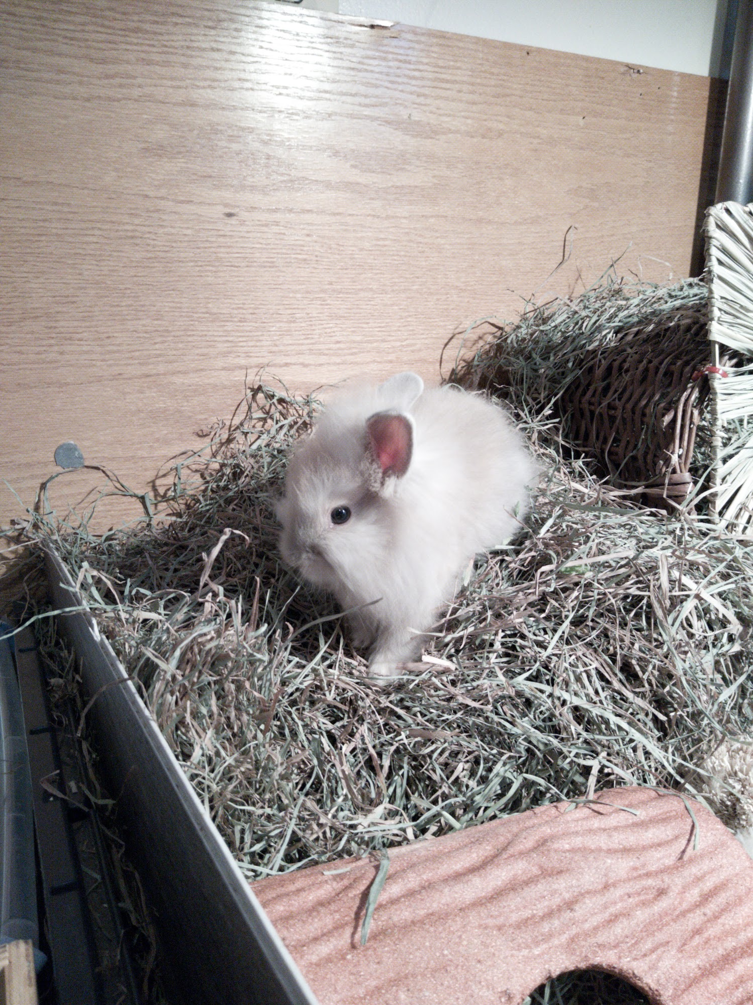 Feeders Pet Supply Jeffersonville