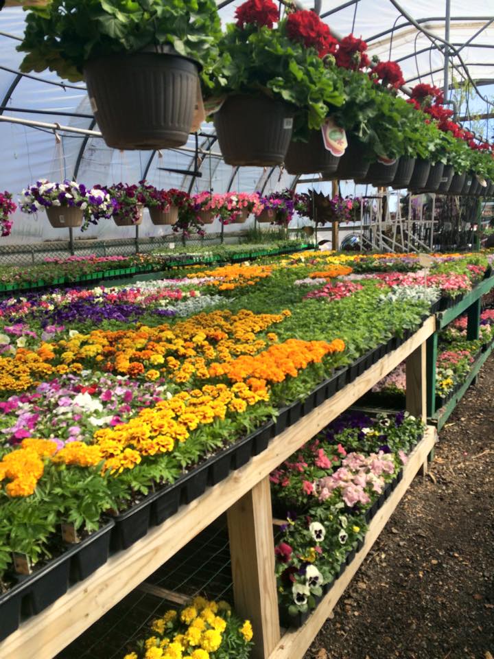 H & S Floral and Garden Center