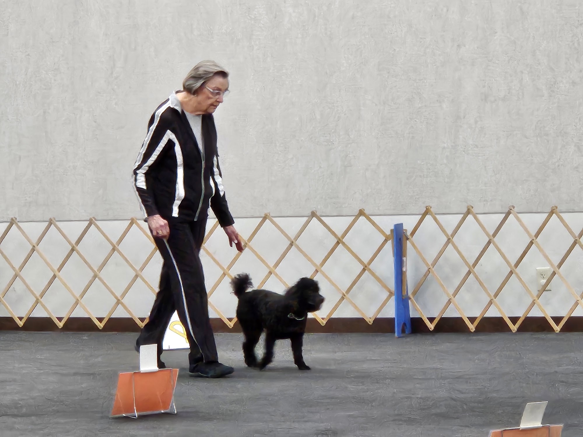 Muncie Obedience Training Club Muncie