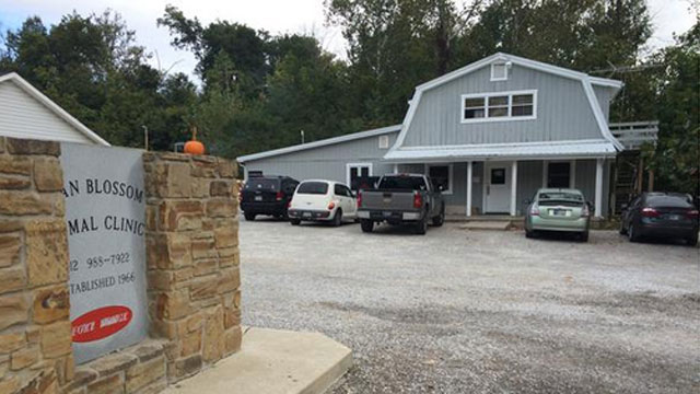 Bean Blossom Animal Clinic 4915 N State Rd 135, Nashville Indiana 47448