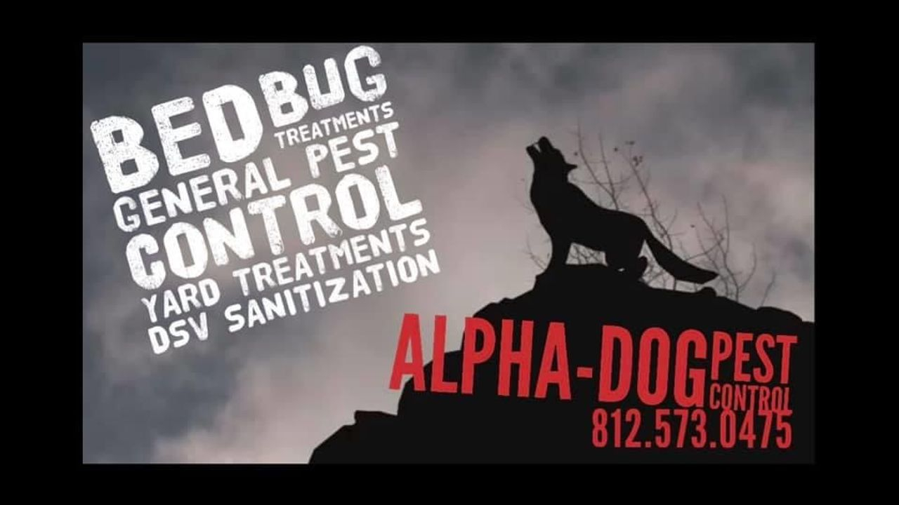 Alpha-Dog Pest Control