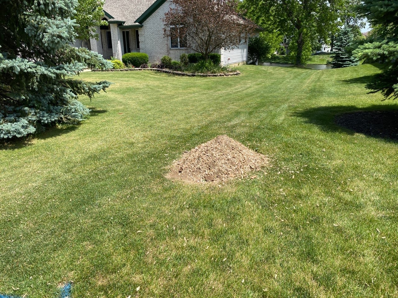 Tom's Stump Grinding 1120 W Beam St, Porter Indiana 46304