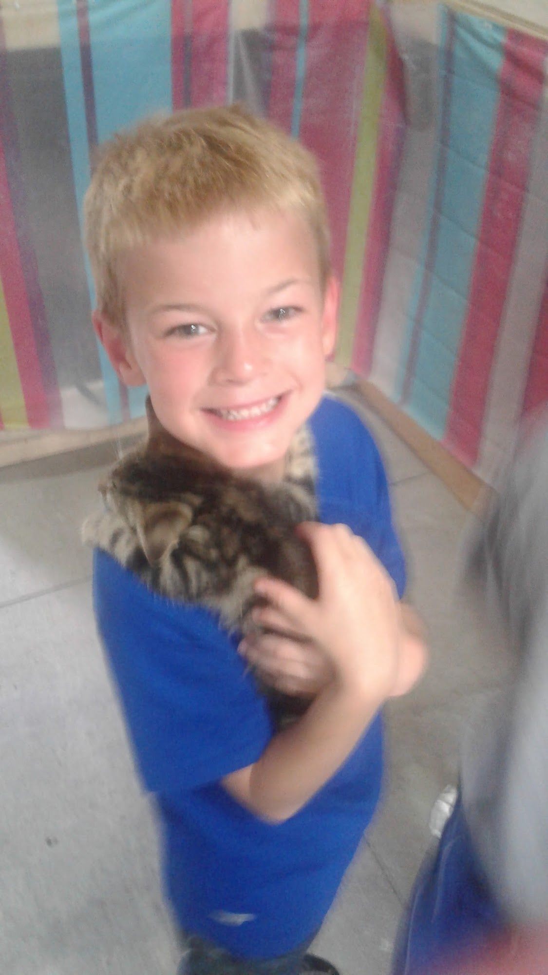 Ohio County Animal Shelter Rising Sun