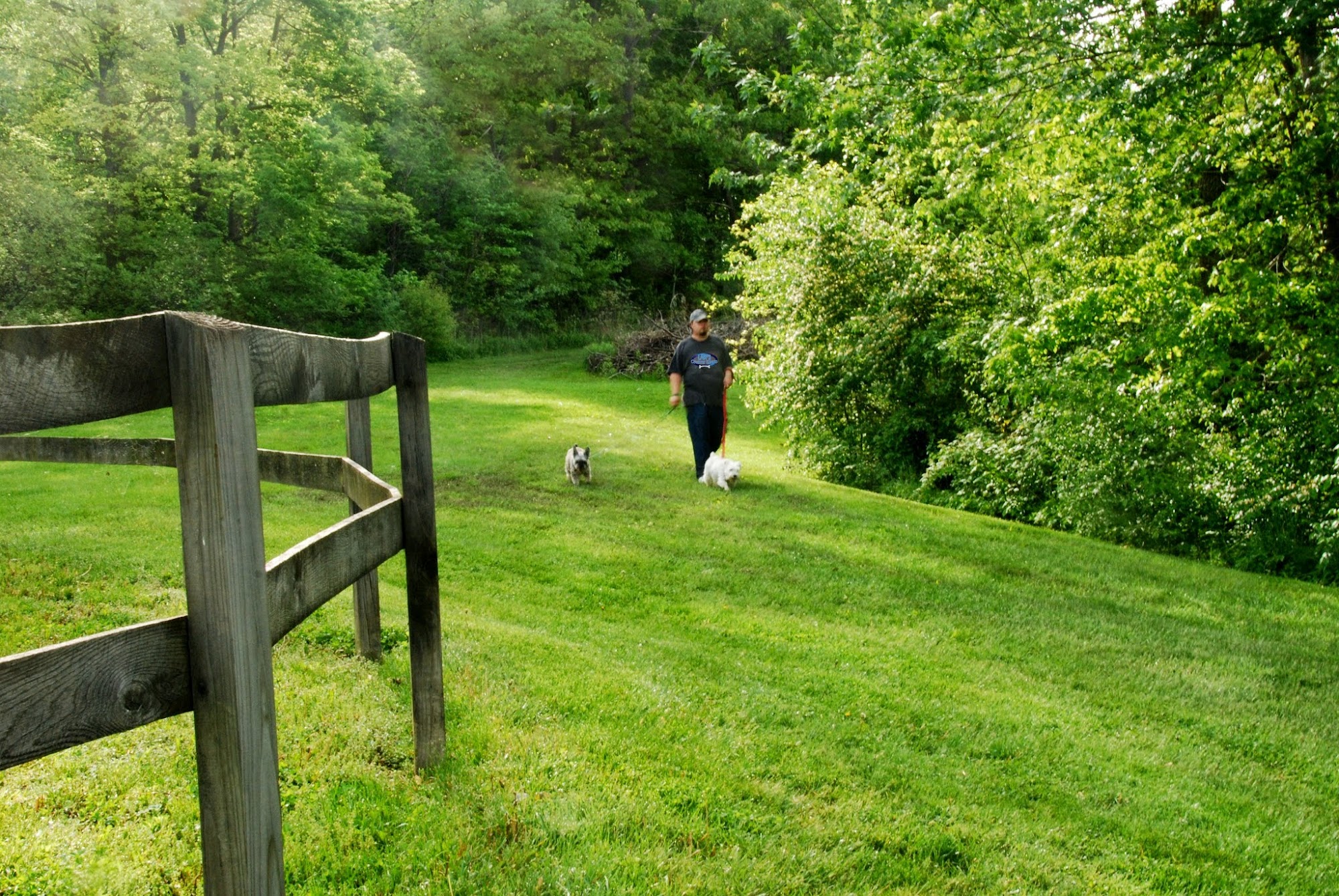 Law's Country Kennel Roanoke