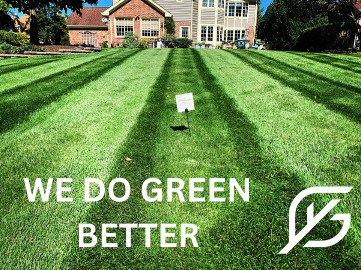 Midwest Green Lawn