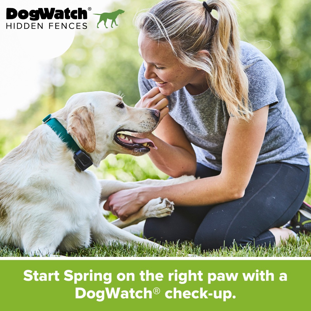 DogWatch of Southeast Indiana 3238 E Olean Rd, Versailles Indiana 47042