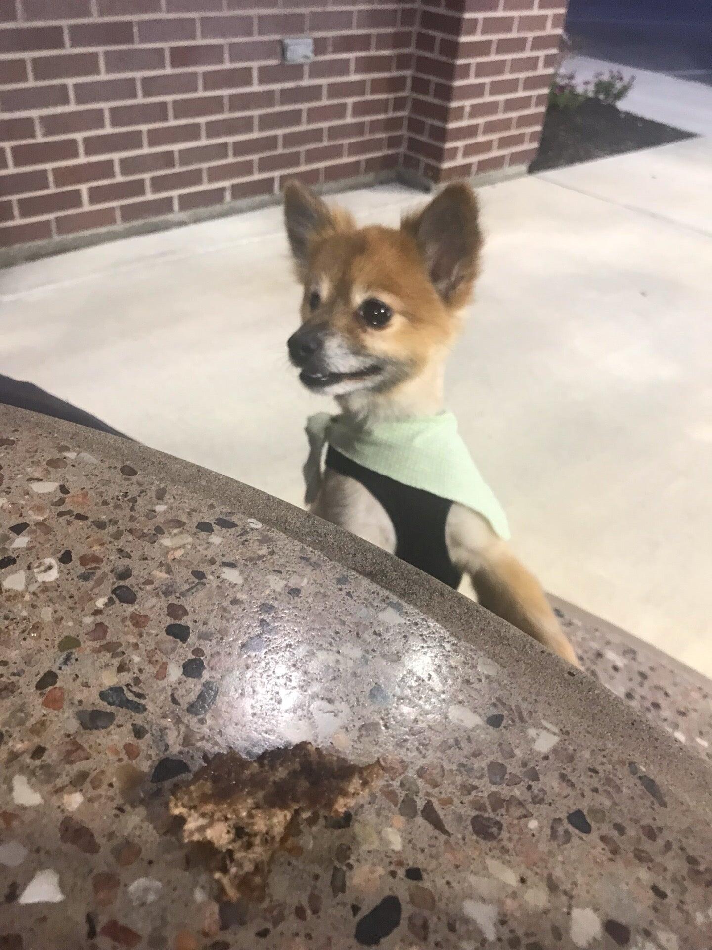Photo credit: nextdoor