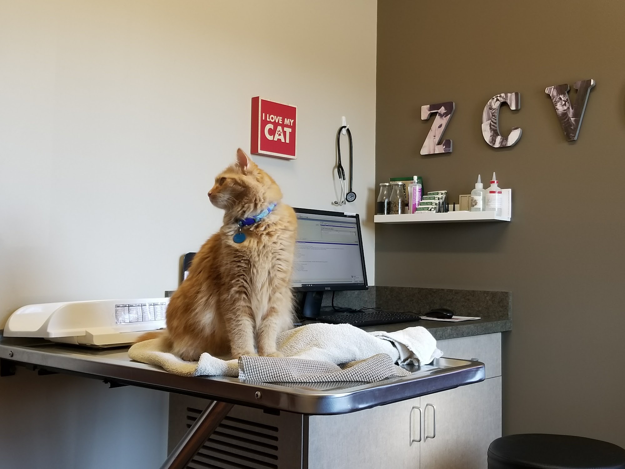 Zionsville Country Vet Clinic