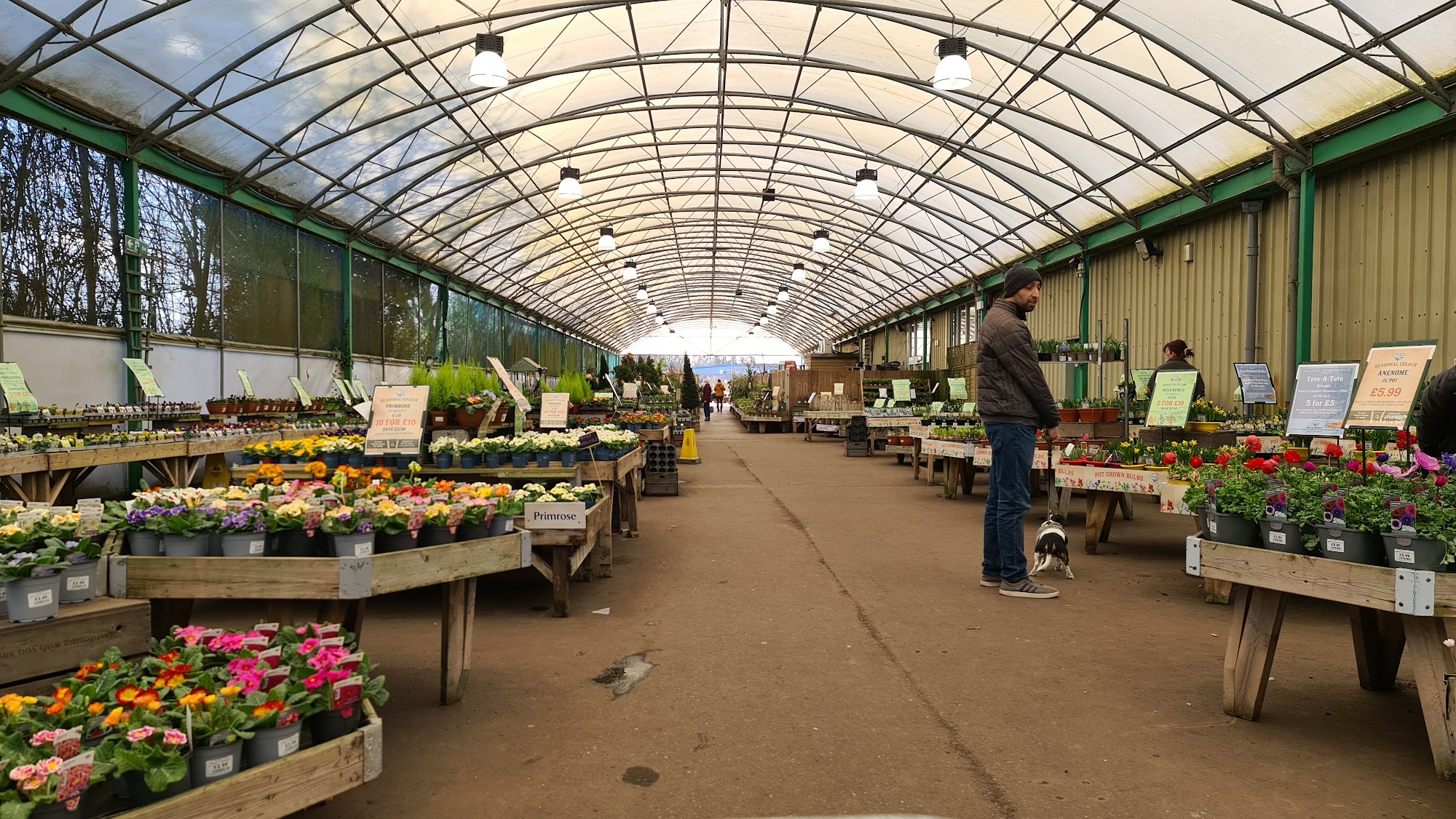 Canterbury Chartham Garden Centre