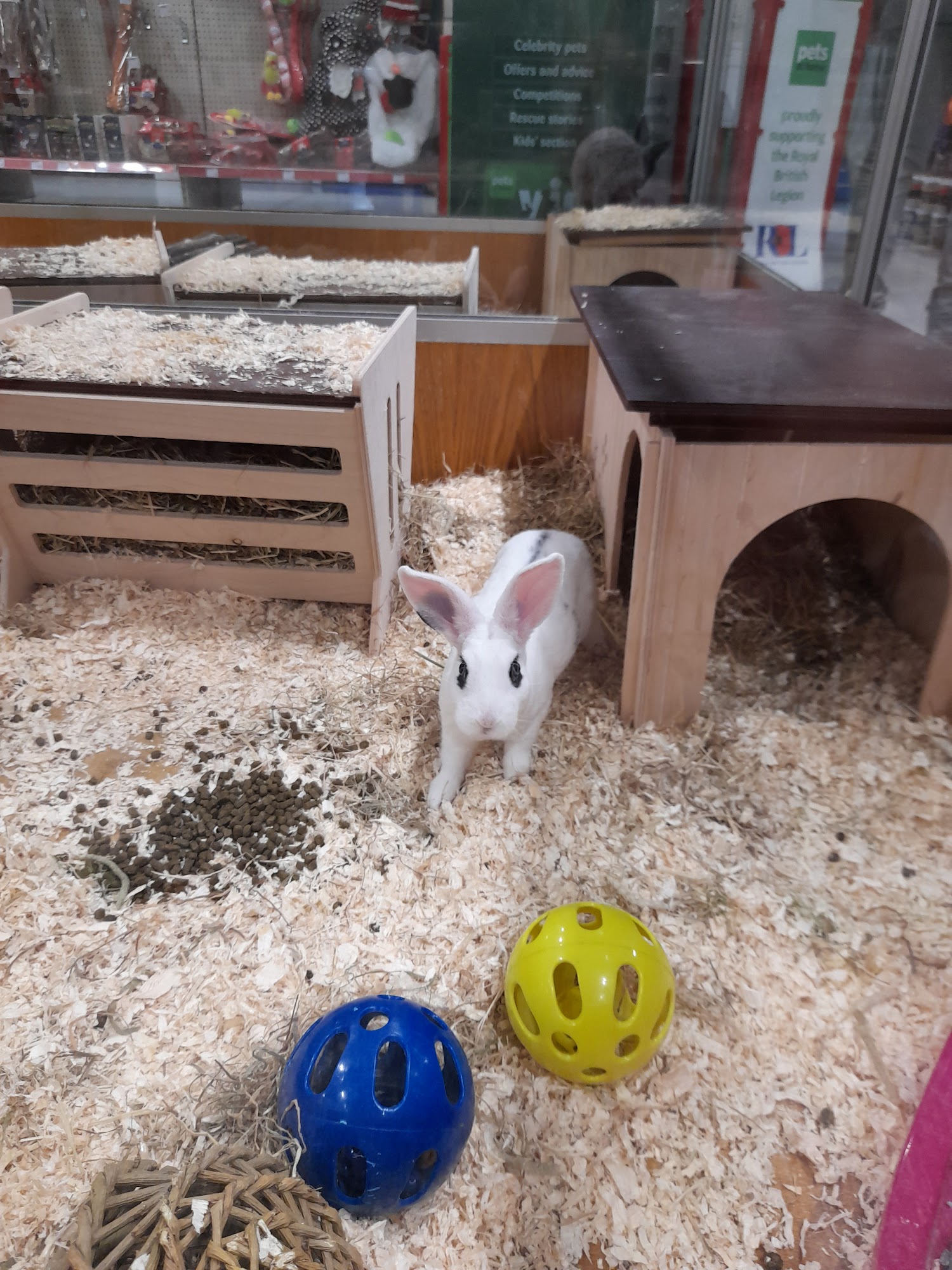 Pets at Home Chatham