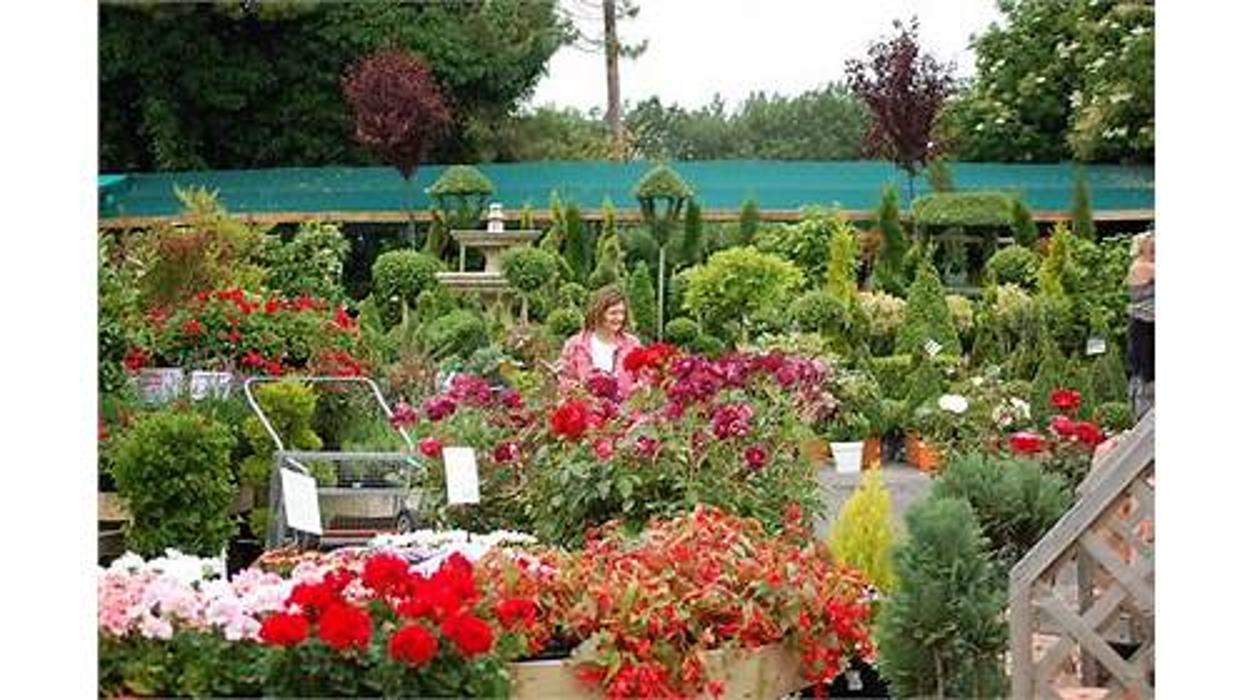 Coblands Garden Centre & Cafe