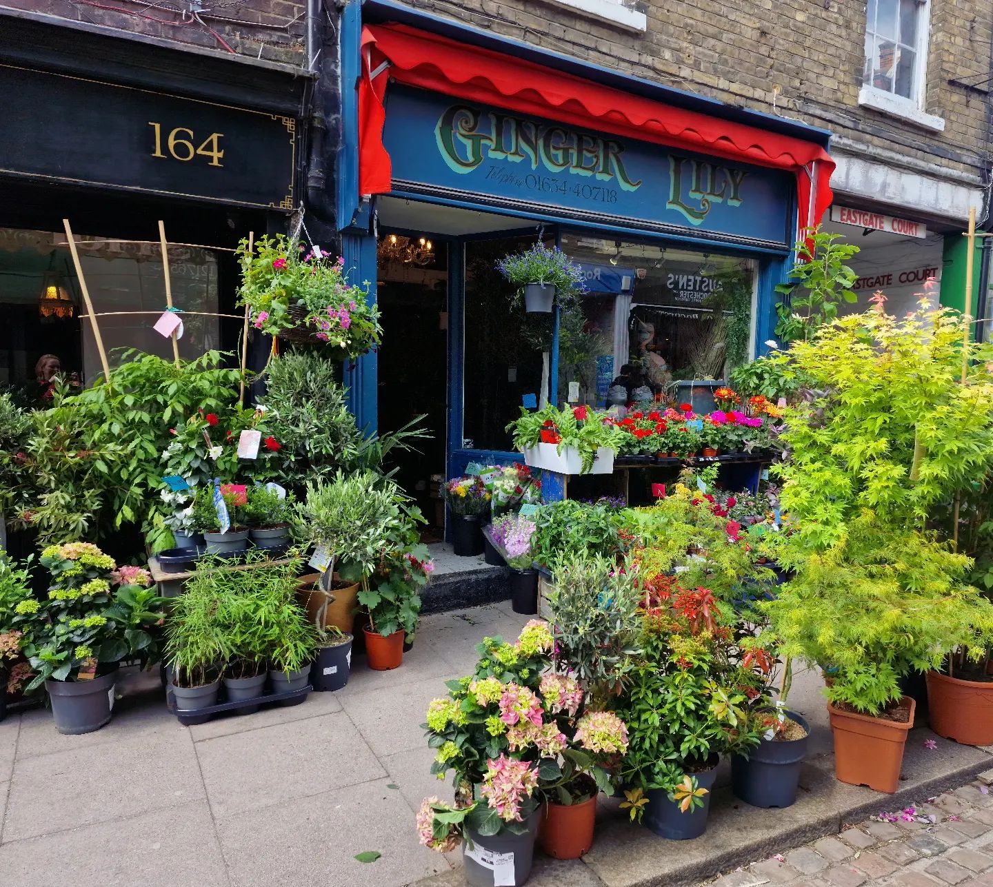 Ginger Lily Florist - Rochester