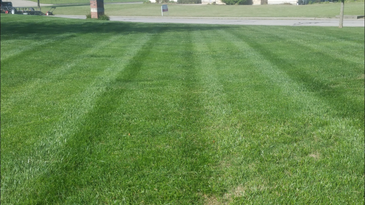Turf Bros Lawn and Landscape 13082 Meade Rd, Altamont Kansas 67330