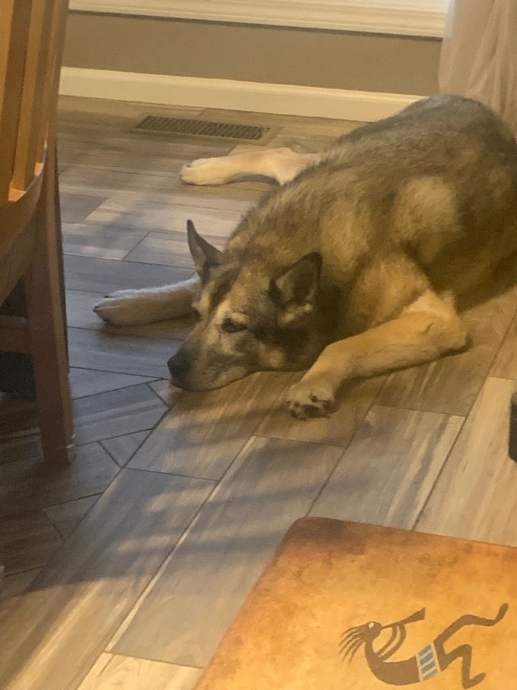 Atchison Animal Clinic: Hansen Chris DVM Atchison