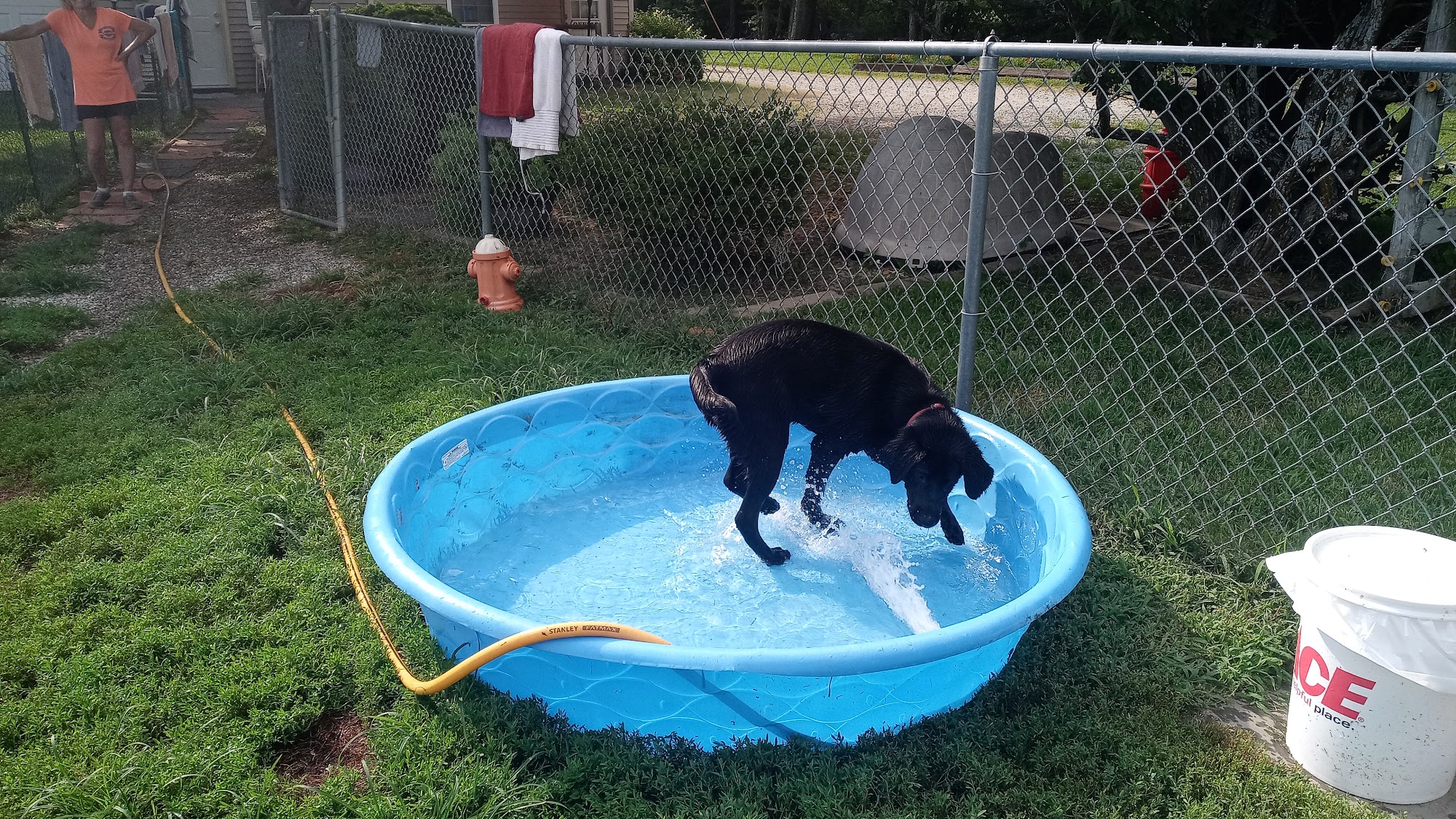 Bo's Country Kennel Carbondale