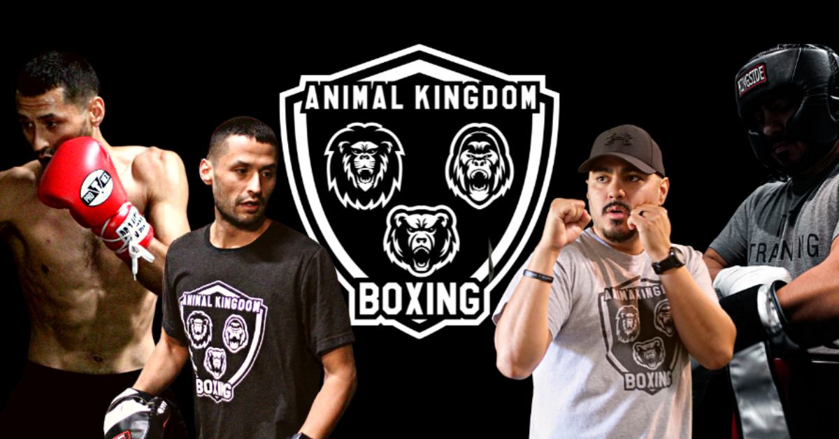 Animal Kingdom Boxing