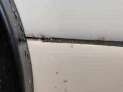 Weber Flooring Administration