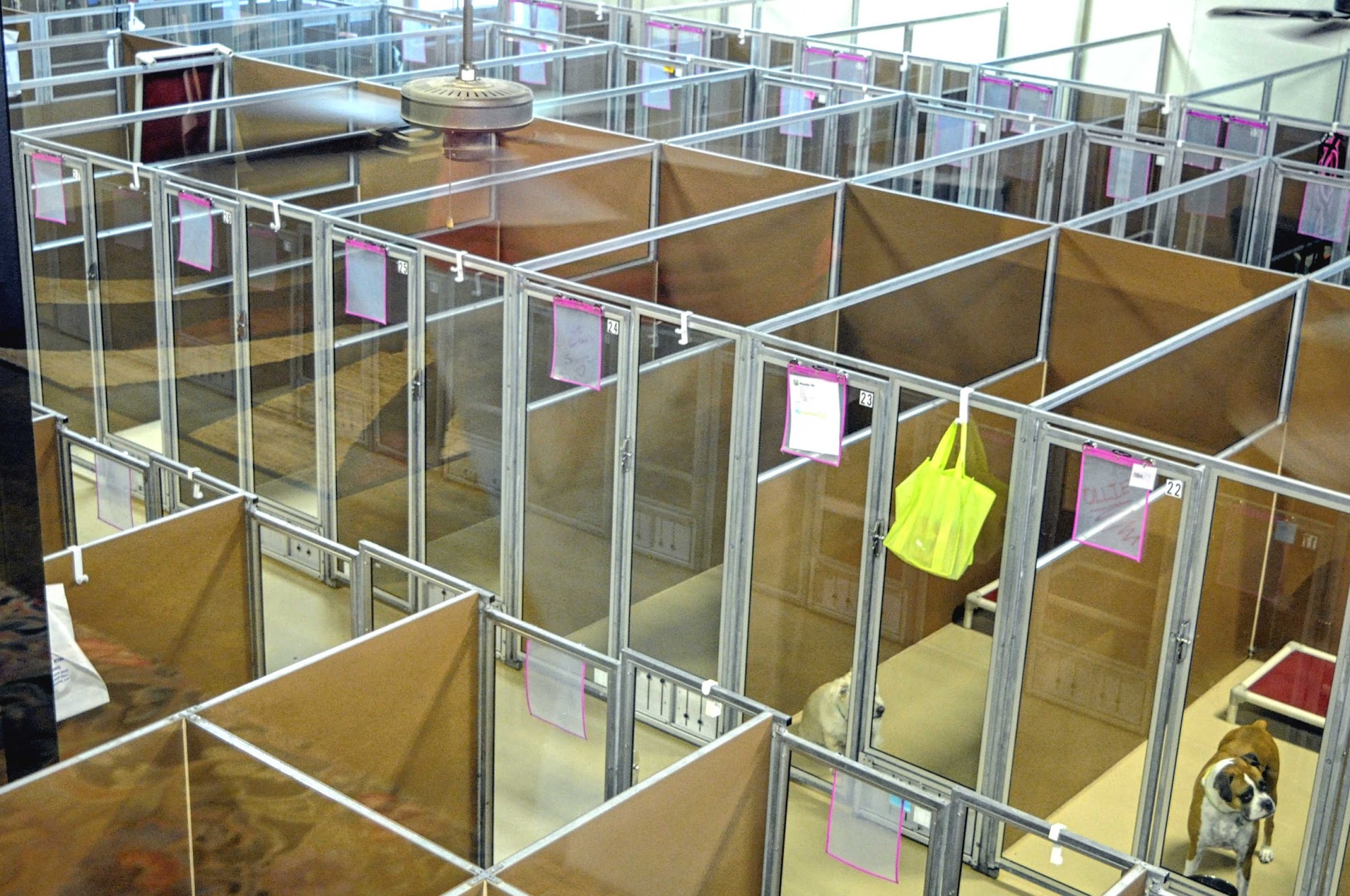 Fetchers Play & Stay Olathe