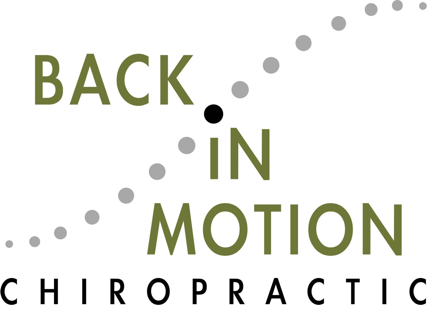 Back In Motion Chiropractic / Energy In Motion