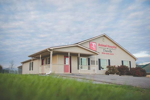 Animal Hospital of Danville