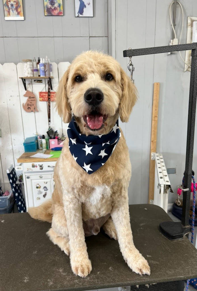 Sleek & Savvy, LLC Henderson