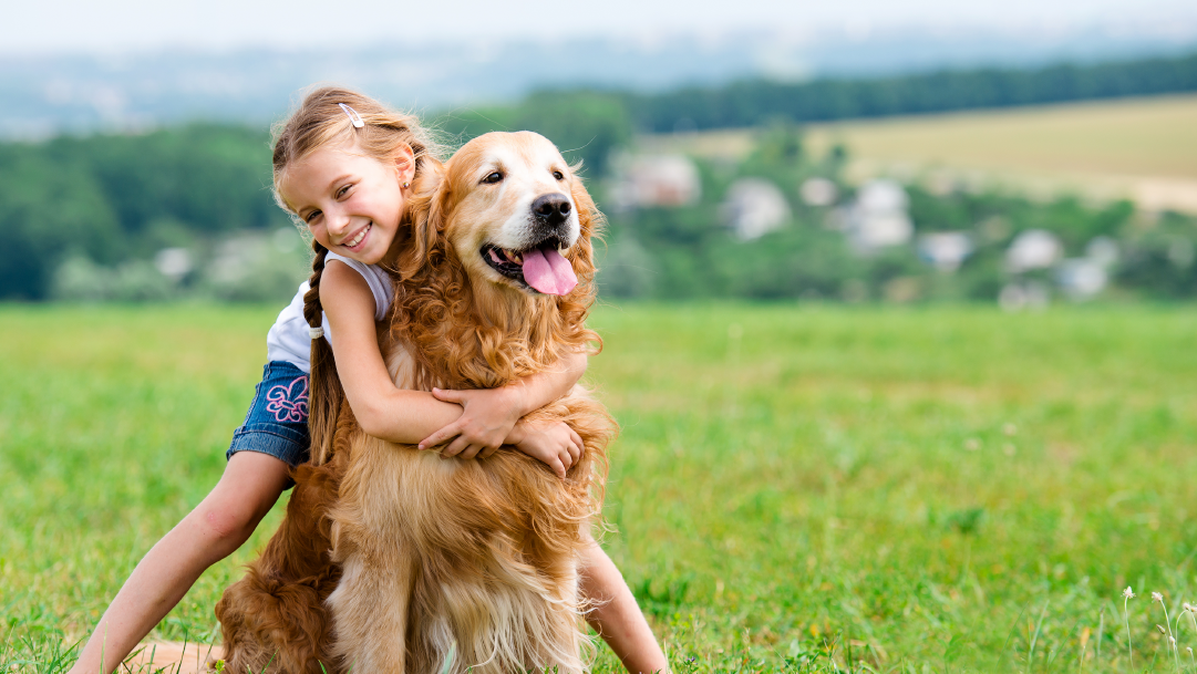 Goshen Animal Clinic