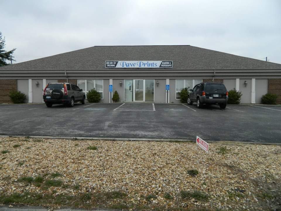 Paw Prints Grooming Somerset