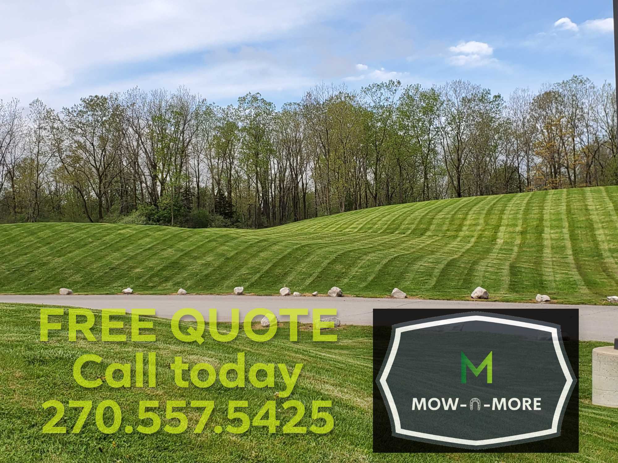 Mow-N-More 56 Bell Rd, Symsonia Kentucky 42082