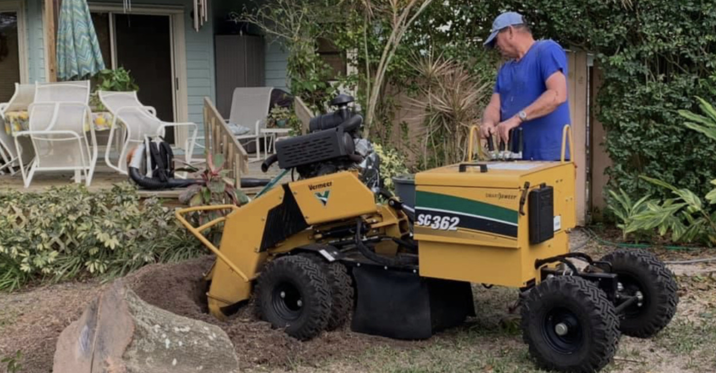 Big Dawg Tree Service and Stump Grinding
