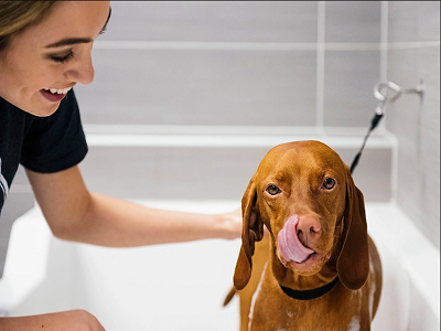 Dogtopia of Baton Rouge Baton Rouge