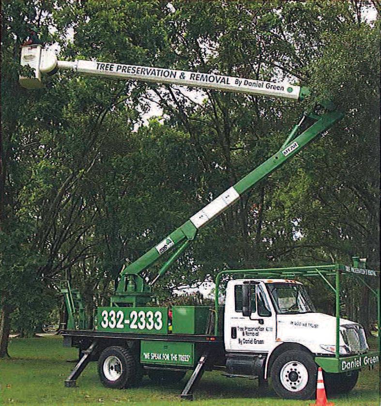 Tree Preservation And Removal By Daniel Green 221 Felix Rd, Breaux Bridge Louisiana 70517