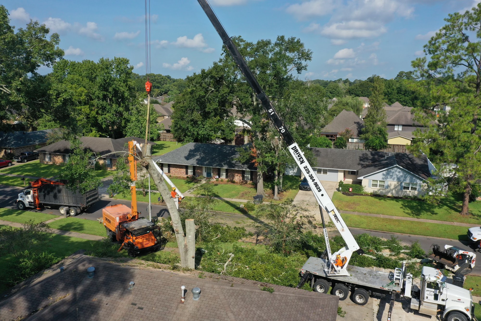 Driven Tree Service 12508 Legacy Hills Dr, Geismar Louisiana 70734