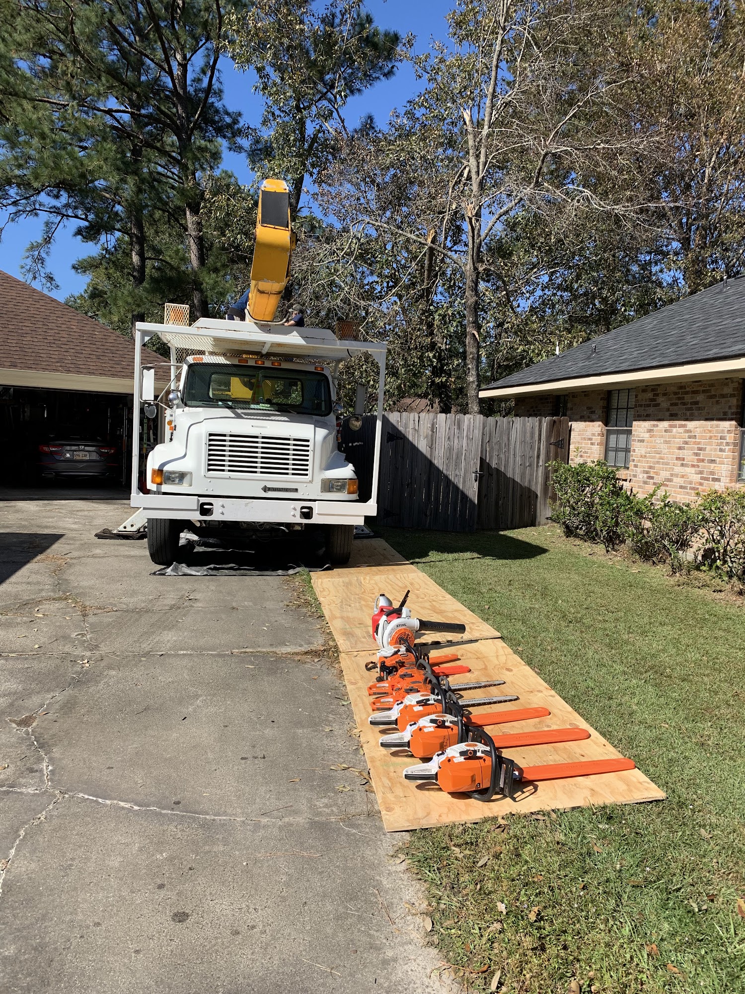 Tiger Tree Services