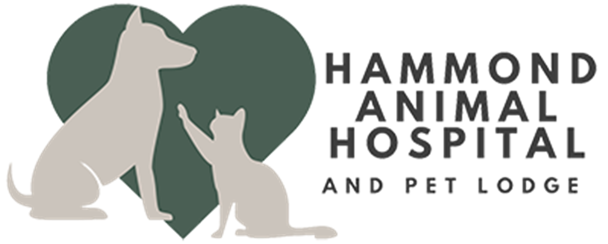 Hammond Animal Hospital & Pet: Davis Tyra DVM