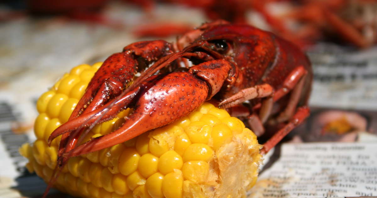 Photo credit: thrillist
