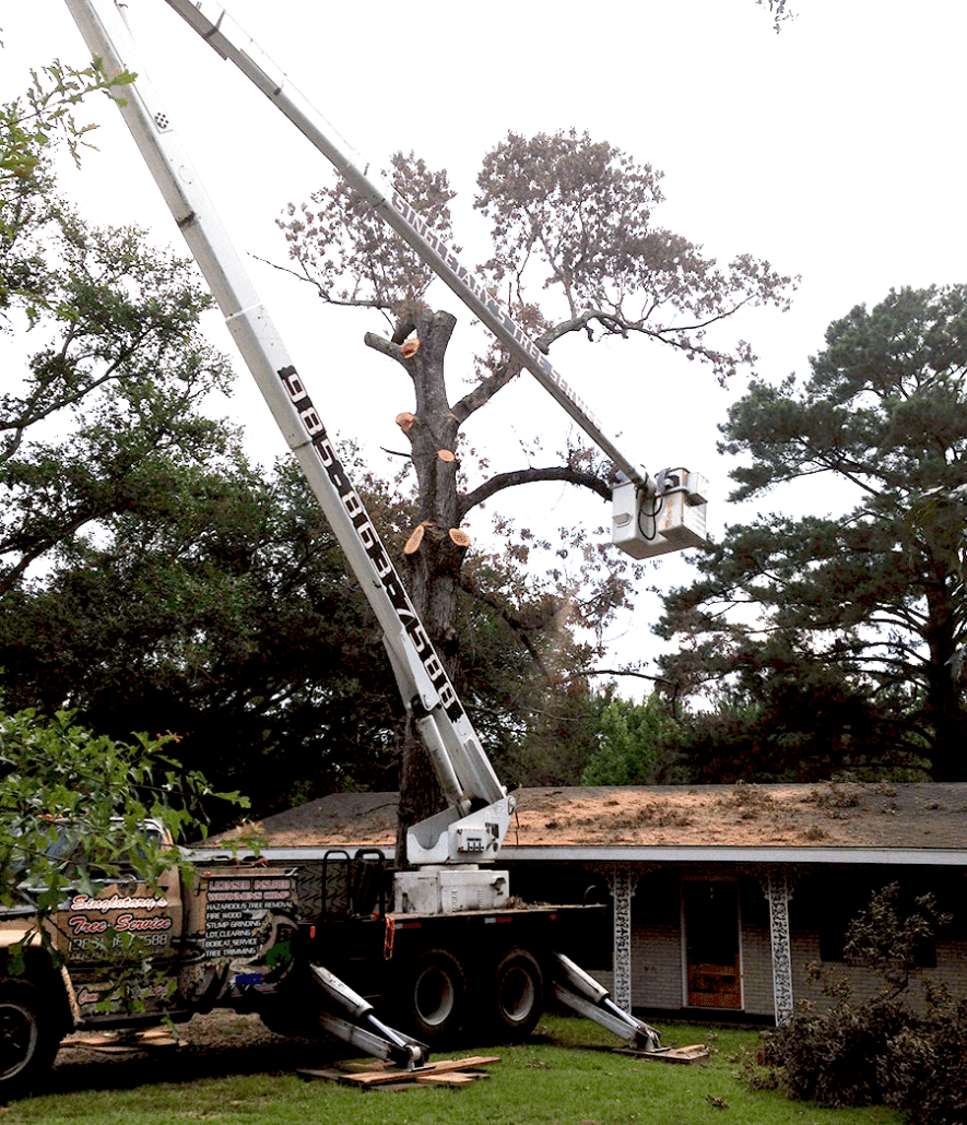 Singletary's Tree Service LLC