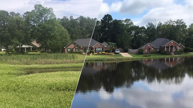 Pond Doctor, LLC 16566 U.S. Hwy 190, Port Barre Louisiana 70577