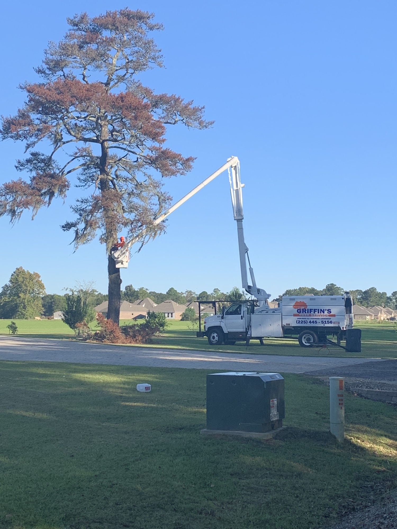 Griffin's Tree Service 45063 Butch Gore Rd, St Amant Louisiana 70774