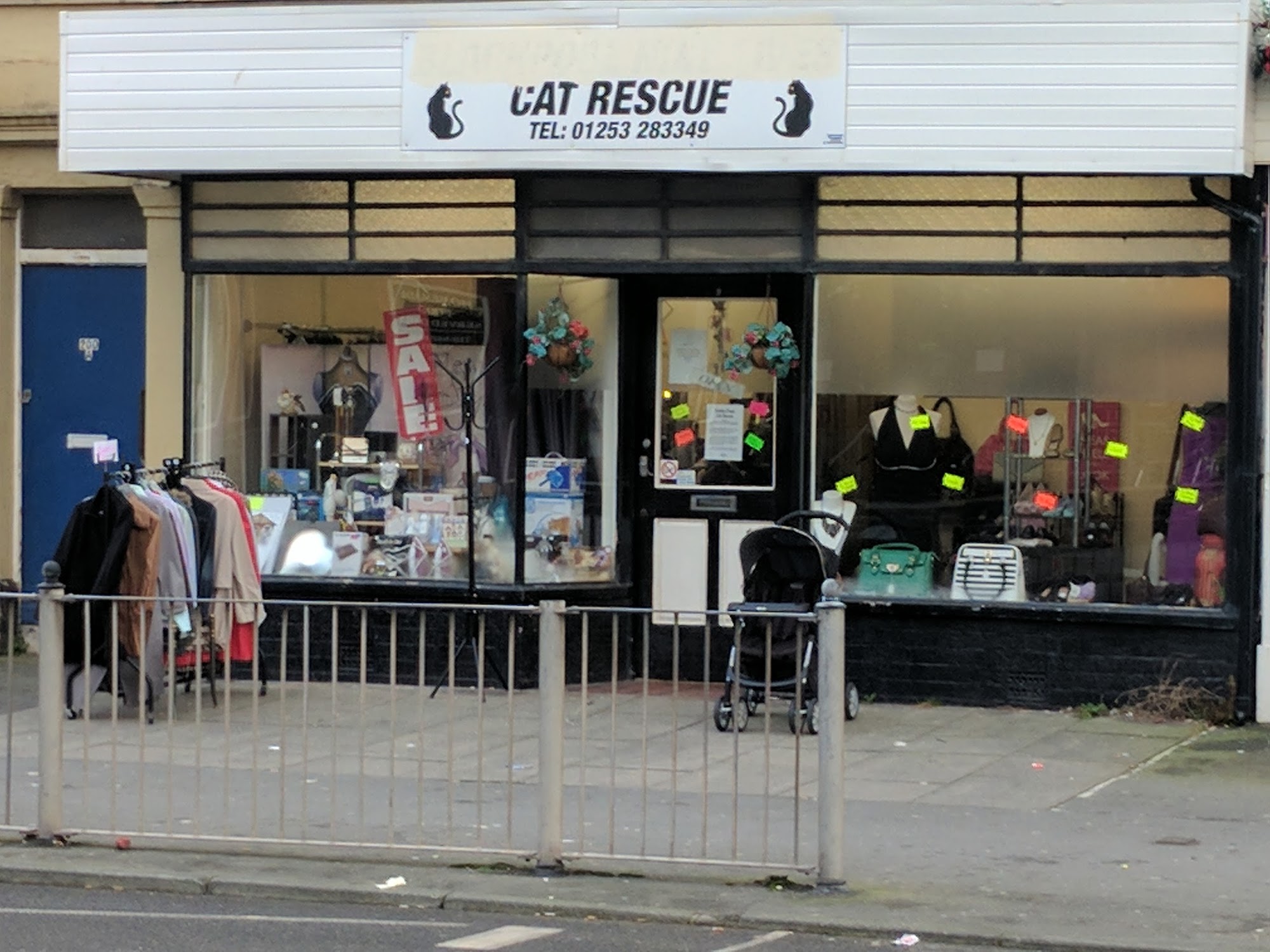 Cat Rescue Charity Shop Blackpool