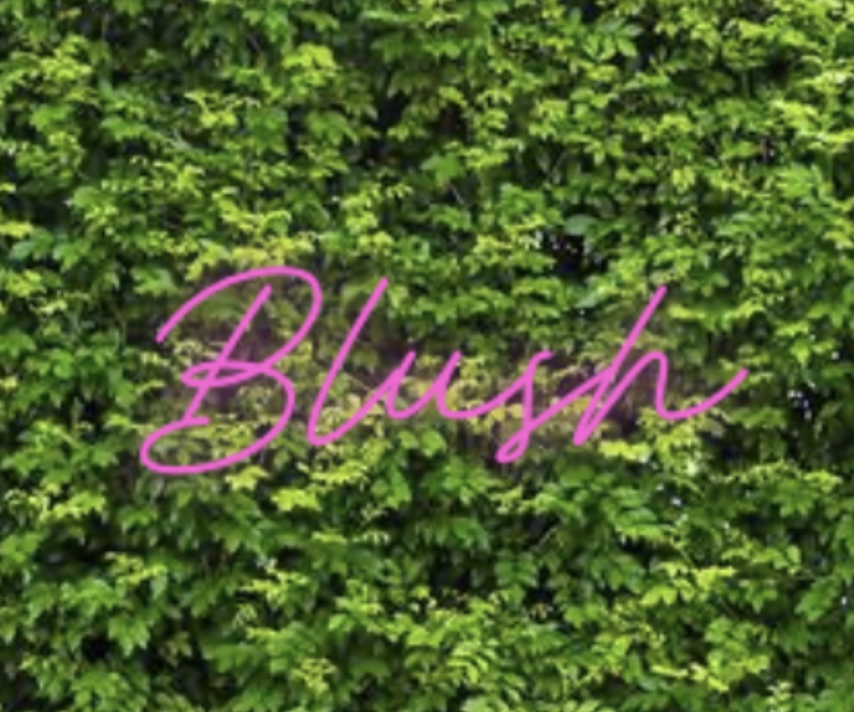 Blush boutique and beauty