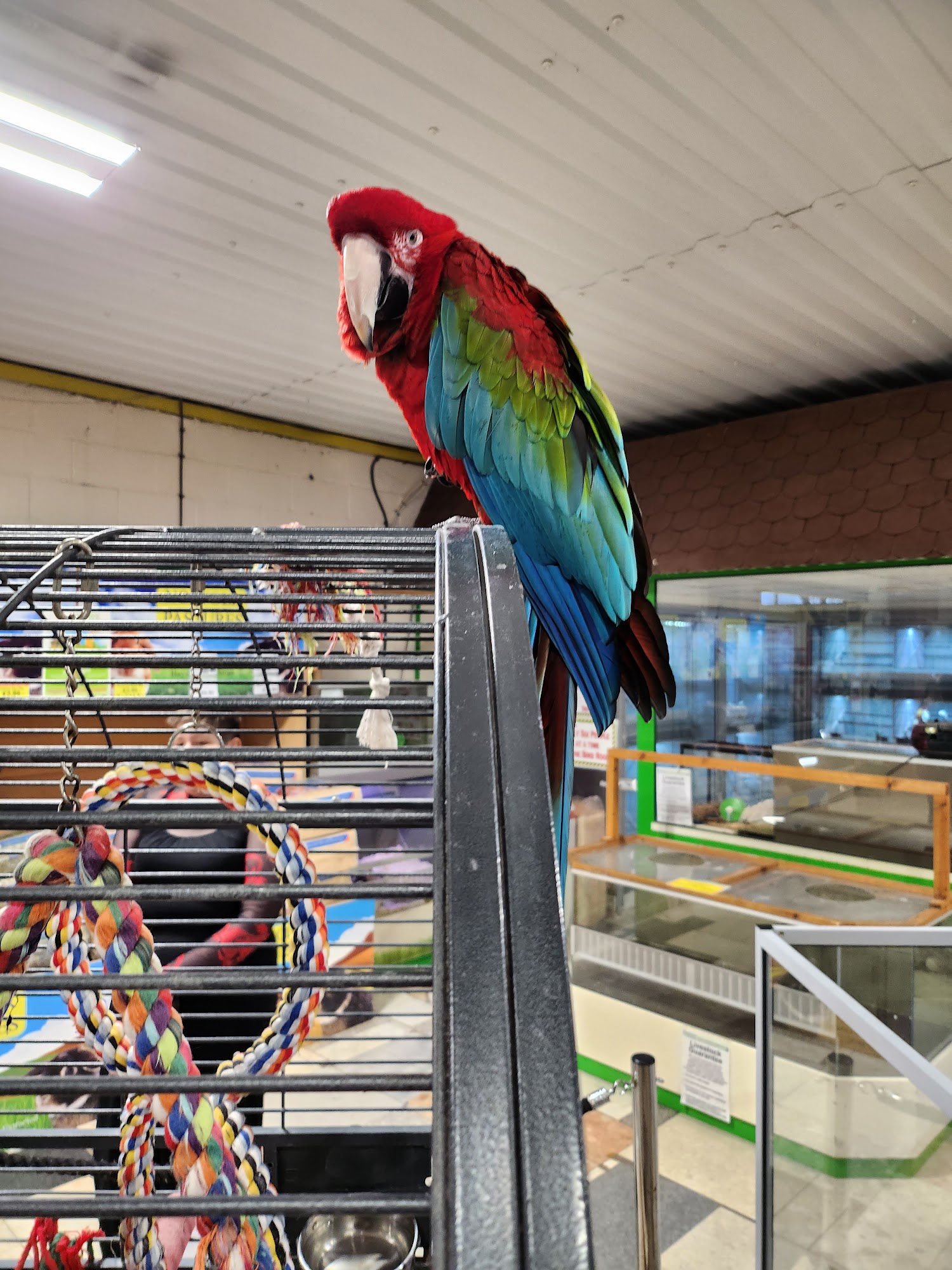 Baytree Garden Centre