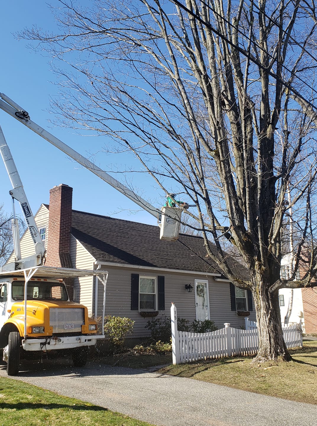 Affordable Tree Care, Inc