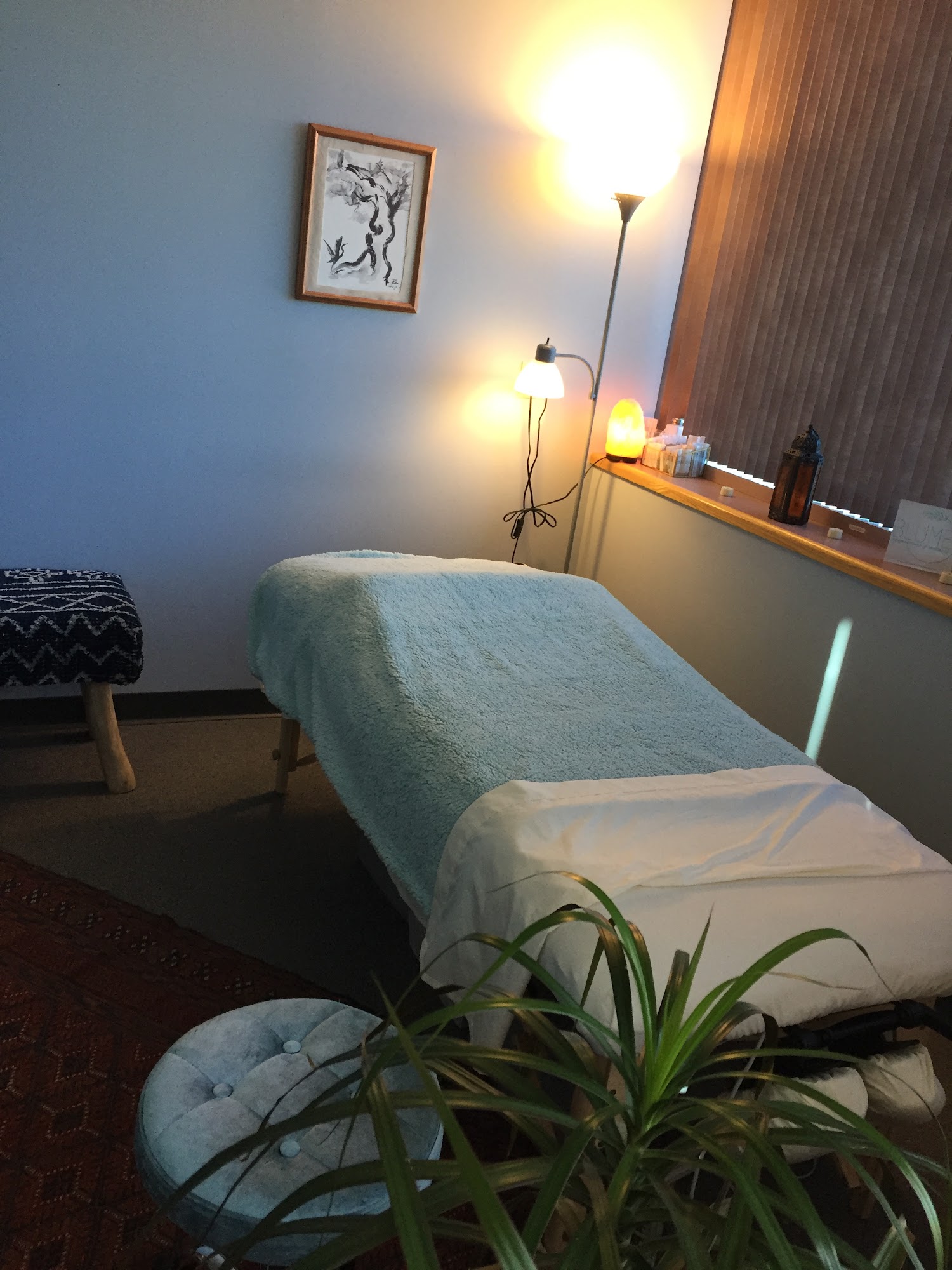 Blume Acupuncture & Wellness