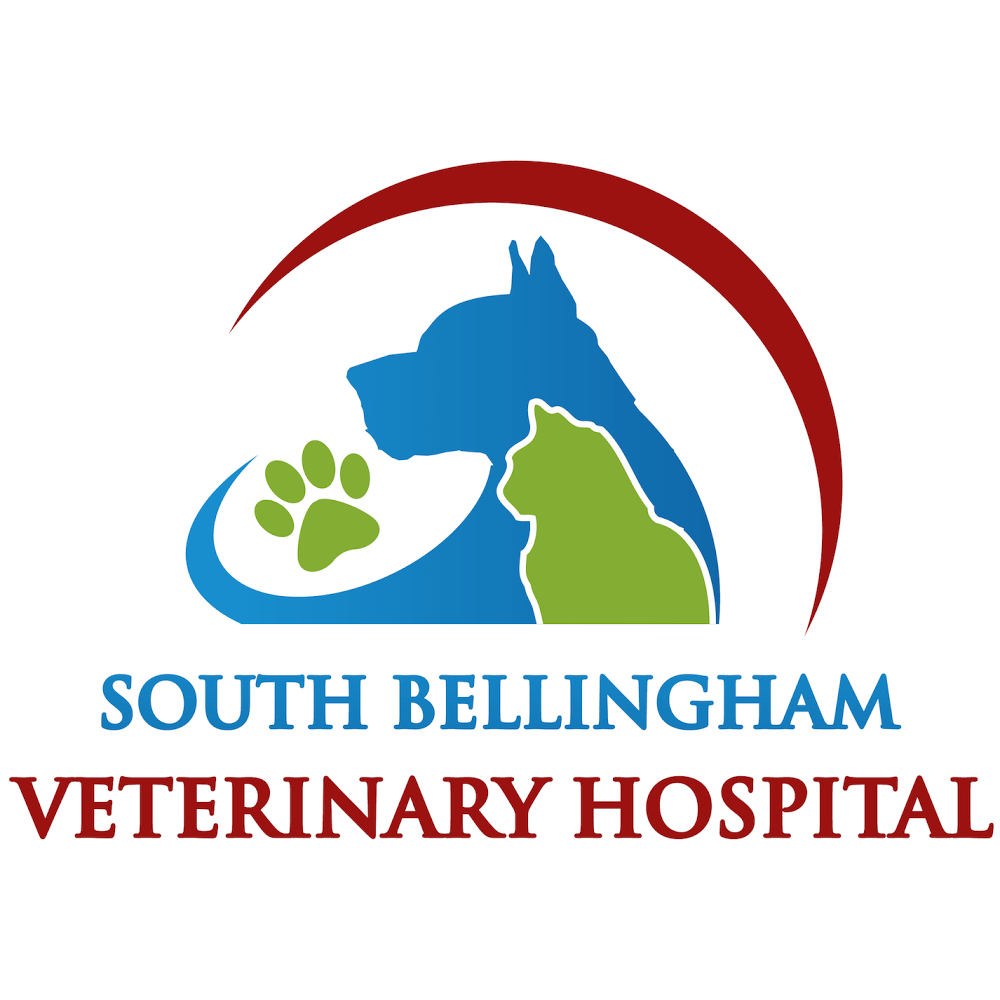 South Bellingham Veterinary Hospital